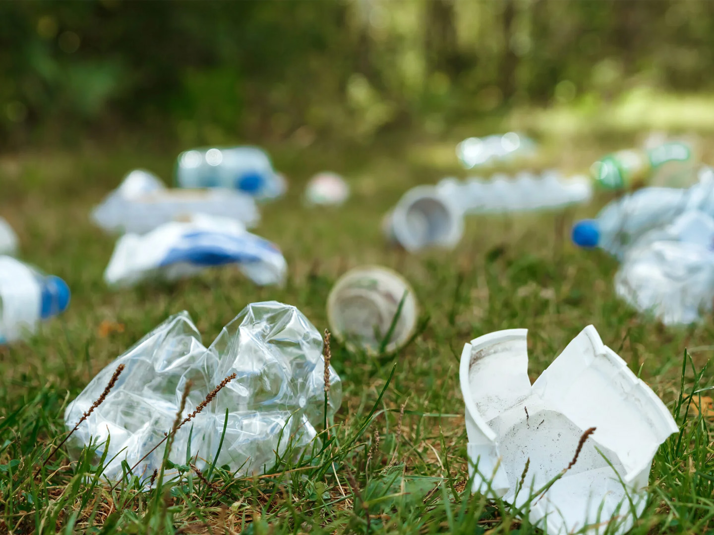 A pile of plastic on green grass, a problem in the natural environment, pollution of nature is not decomposing plastic. Protection of Nature.